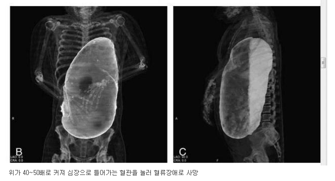 화면 캡처 2020-11-17 191259.png