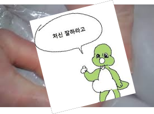 돌고래 보지.jpg_1.png