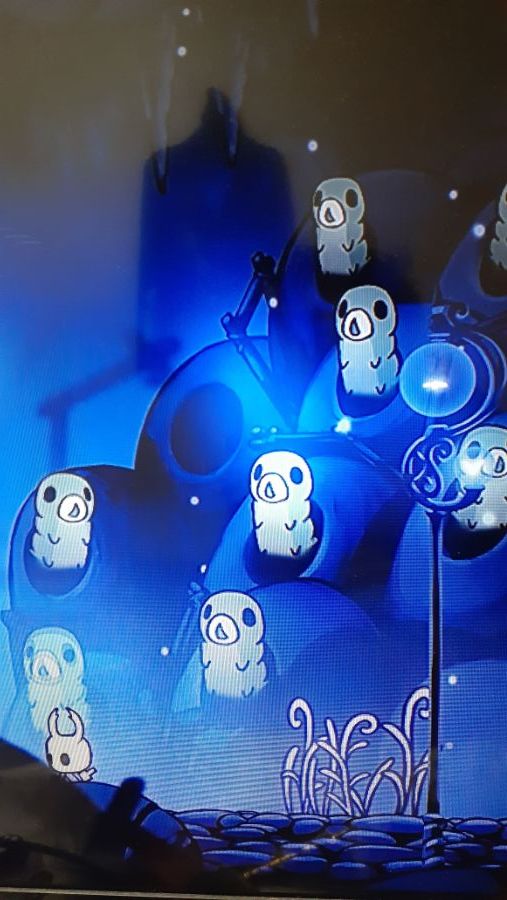 수집가 애벌레지도 찾아서 다 구출했는데 한 마리가 없다고 나오는데 이거 뭔가요?_1.jpg