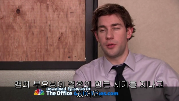 The.Office.S05E13.PROPER.HDTV.XviD-2HD.avi_000897704.png