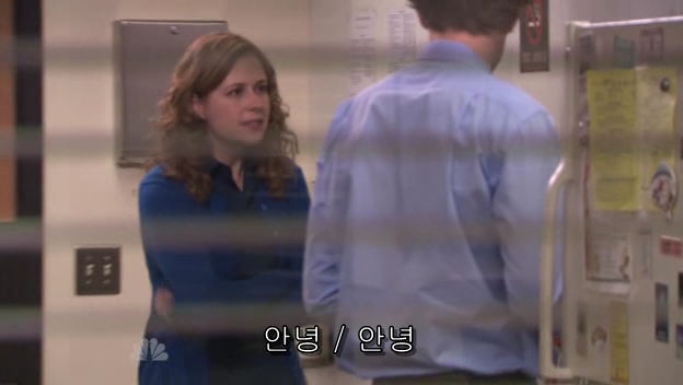 The.Office.S05E13.PROPER.HDTV.XviD-2HD.avi_001101425.png