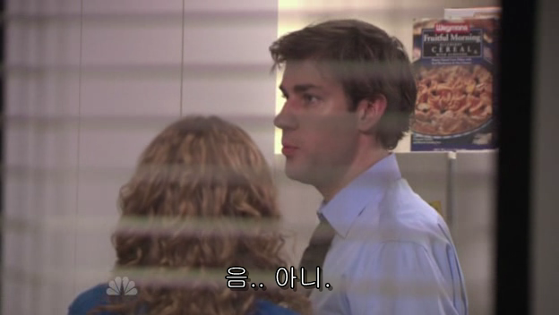 The.Office.S05E13.PROPER.HDTV.XviD-2HD.avi_001105625.png