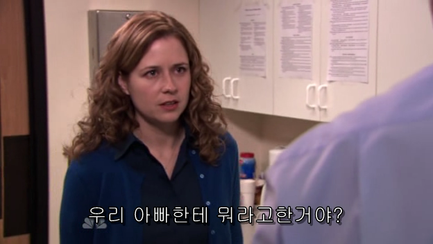 The.Office.S05E13.PROPER.HDTV.XviD-2HD.avi_001331408.png