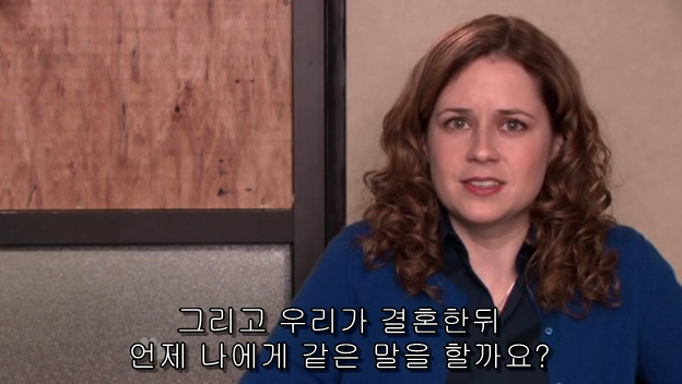 The.Office.S05E13.PROPER.HDTV.XviD-2HD.avi_001368166.png