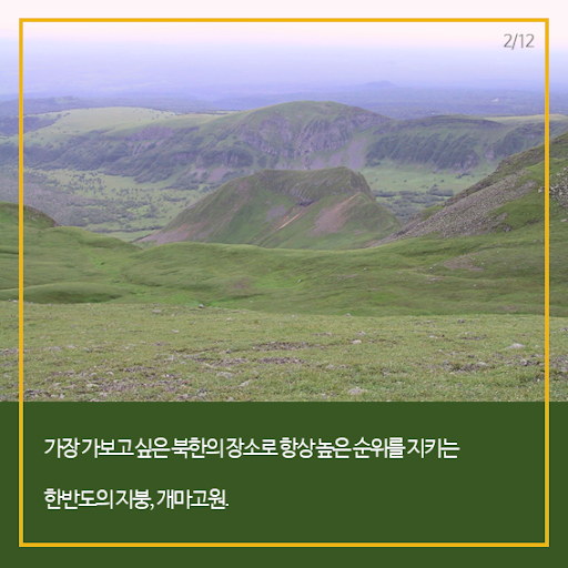 개마고원엔 희토류 금속들이 널려있다고 한다. 왜일까? jpg | 정치유머 게시판 개마고원엔 희토류 금속들이 널려있다고 한다. 왜일까? jpg... 