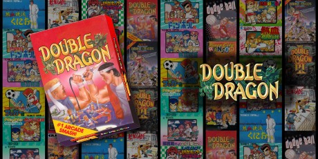 H2x1_NSwitchDS_DoubleDragon_banner_image_wishlist_460w.jpg