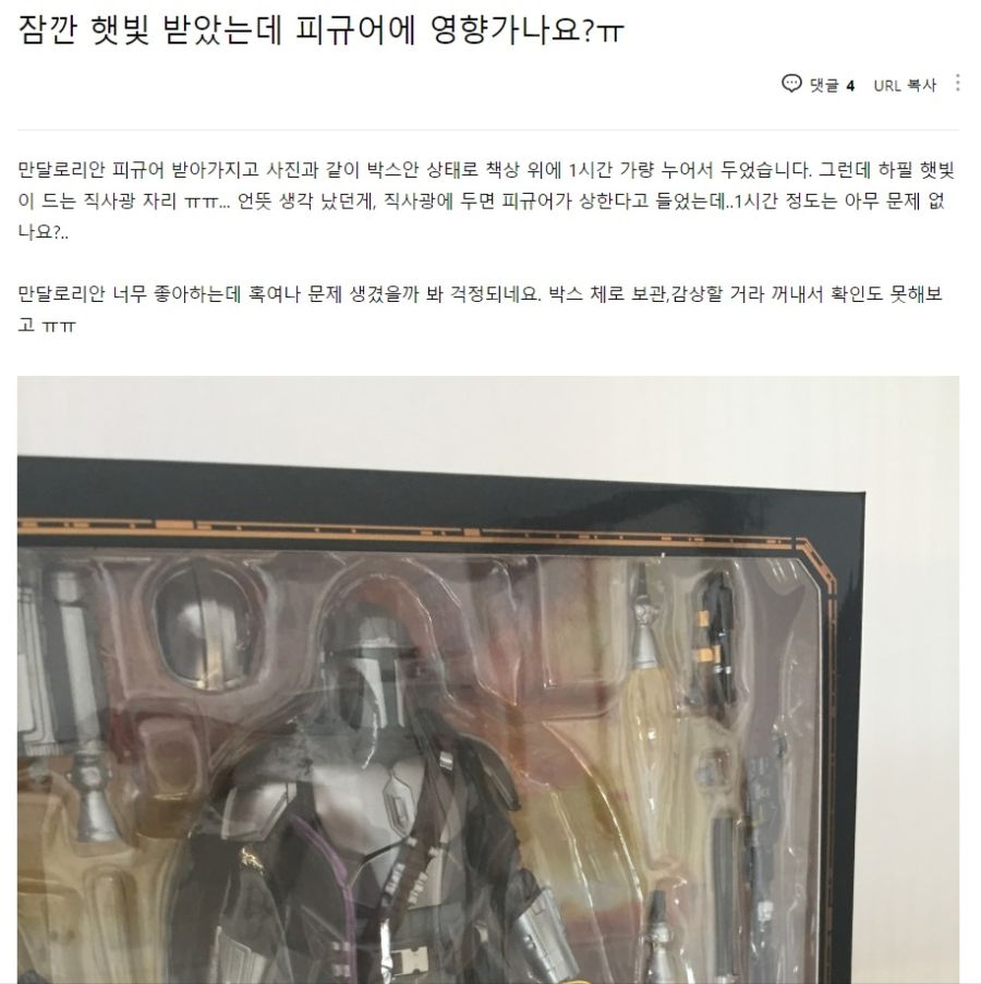 피규어 수집 취미를 가지면 안되는 사람 백업유머 게시판2020 2021 1000