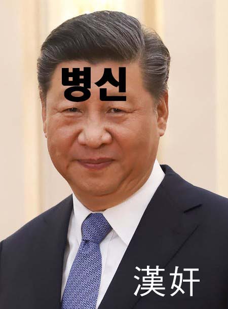 시진핑 이마에 병-신이라 붙어있는 짤_1.jpg