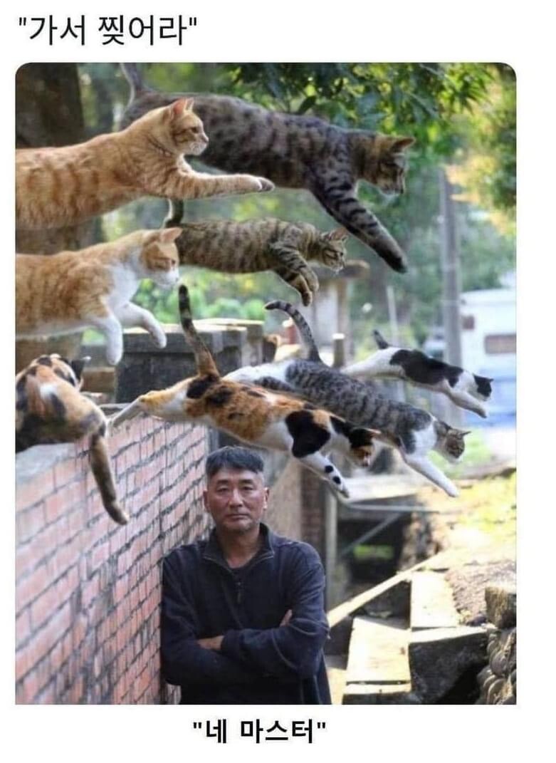 '가서 찢어라''_1.jpg