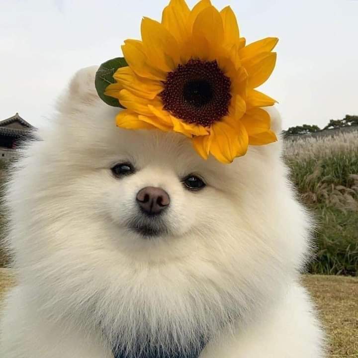 귀여운 글로 추천을 받을거임_3.jpg