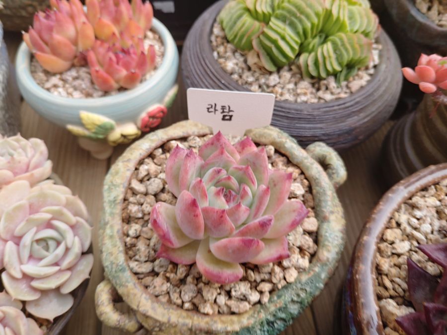 겨울철에는 물이 들어서 좋아요._4.jpg