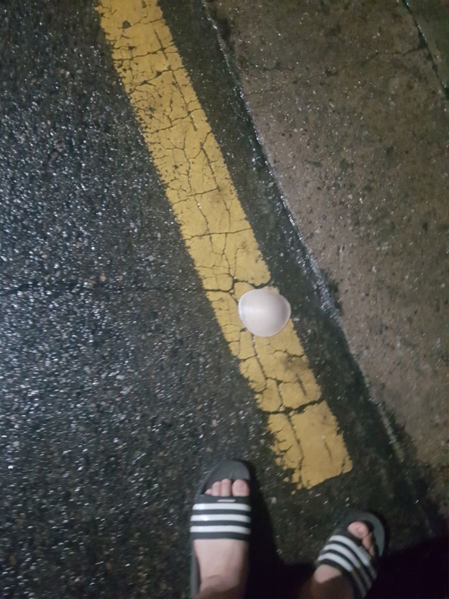 자존심이 바닥에 떨어짐_1.jpg