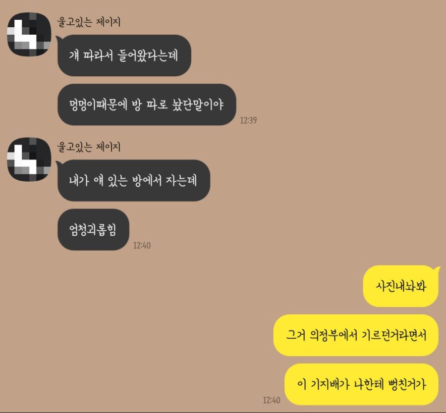 고양이 보구 가 | (백업)유머 게시판(2020-2021) 고양이 보구 가 | (백업)유머 게시판(2020-2021) | 루리웹