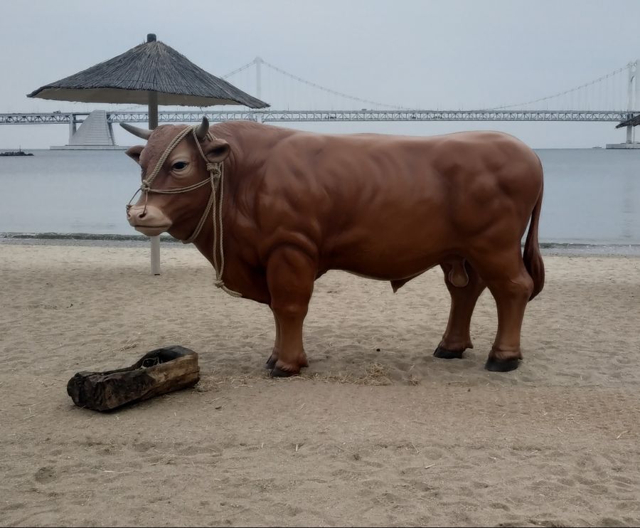광안리 최신 근황_1.jpg