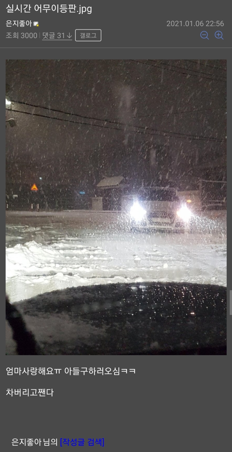 어제자 폭설때 나타난 피해자들 . JPGIF_8.jpeg