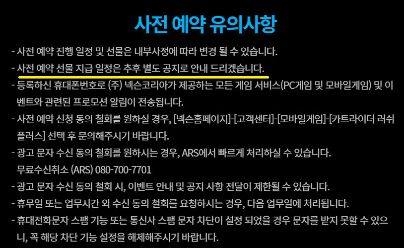 카트라이더러쉬+ 타이칸 사전예약_2.png