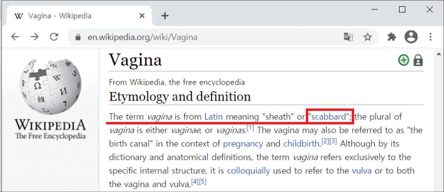 vagina etymology.png
