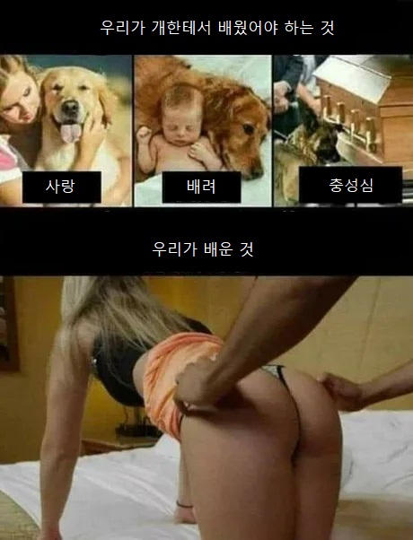 학습력.jpg