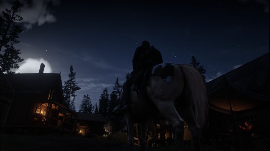 Red Dead Redemption 2 Screenshot 2021.01.17 - 14.50.45.05.png