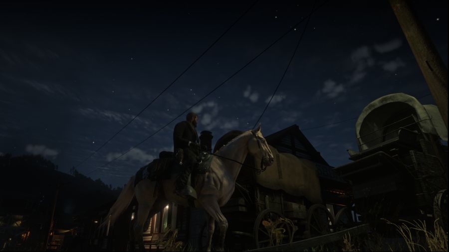 Red Dead Redemption 2 Screenshot 2021.01.17 - 14.52.42.67.png