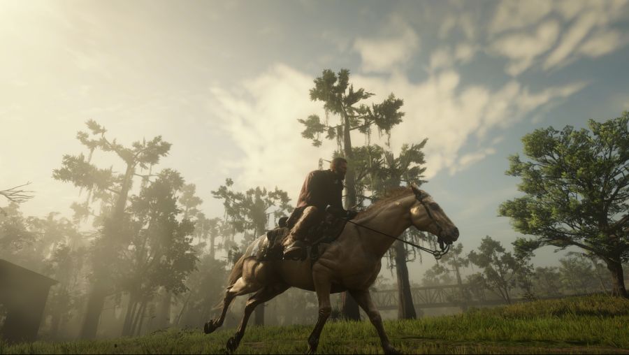 Red Dead Redemption 2 Screenshot 2021.01.18 - 20.05.06.04.png