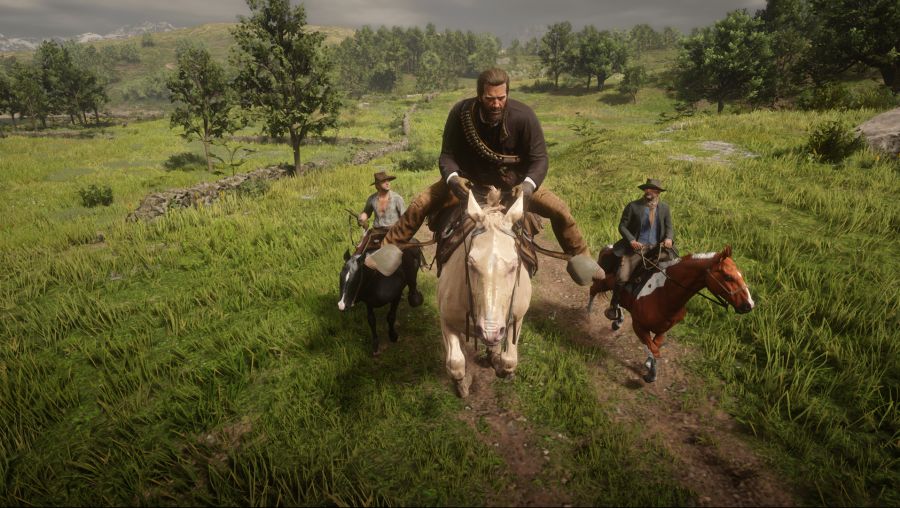 Red Dead Redemption 2 Screenshot 2021.01.18 - 20.08.41.42.png