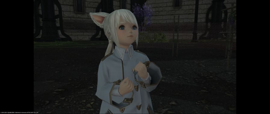 ffxiv_20210120_000738_363.png