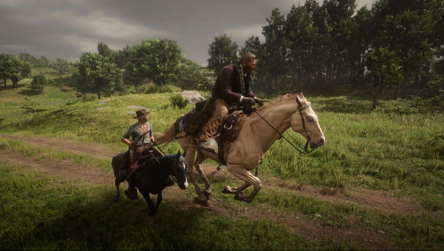 Red Dead Redemption 2 Screenshot 2021.01.18 - 20.08.35.09.png