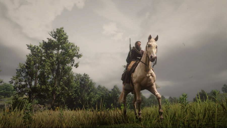 Red Dead Redemption 2 Screenshot 2021.01.18 - 20.09.56.100.png