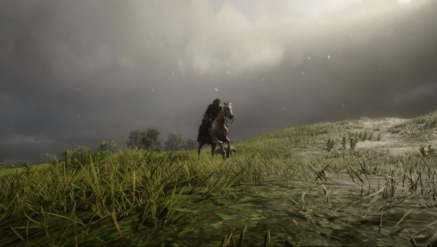 Red Dead Redemption 2 Screenshot 2021.01.18 - 20.35.29.50.png