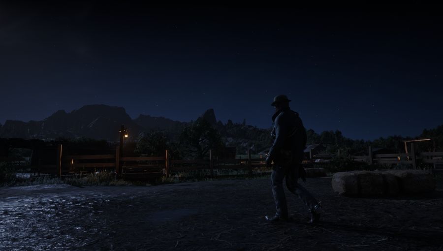 Red Dead Redemption 2 Screenshot 2021.01.21 - 02.34.41.49.png