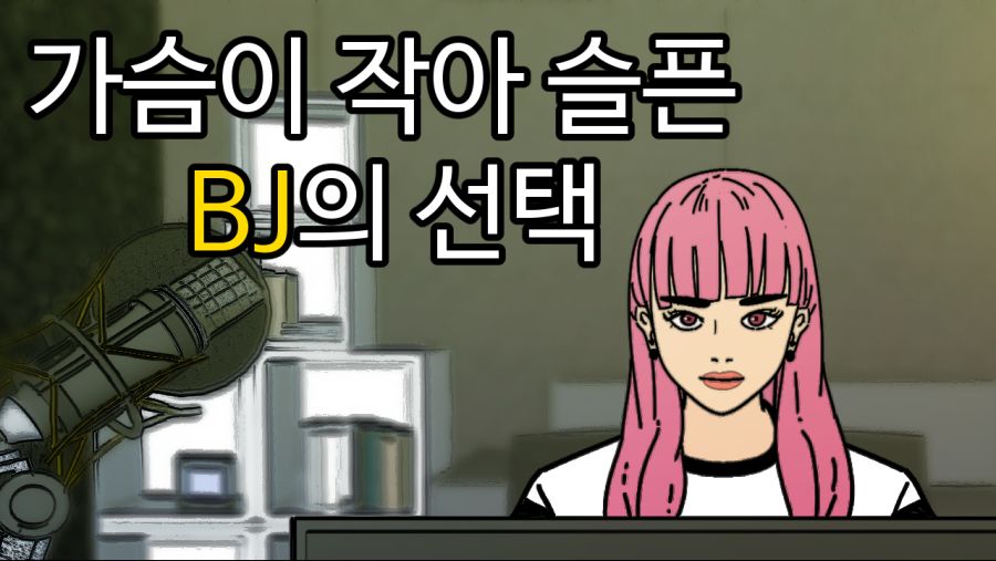 가슴이 작아 슬픈 bj의 선택.png