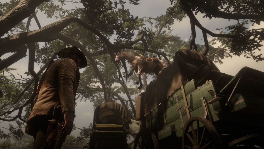 Red Dead Redemption 2 Screenshot 2021.01.21 - 22.18.21.79.png