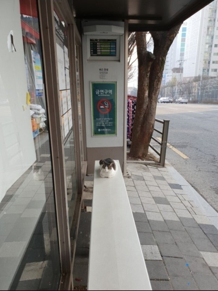 탄소 발열의자 성능 인증_2.jpeg