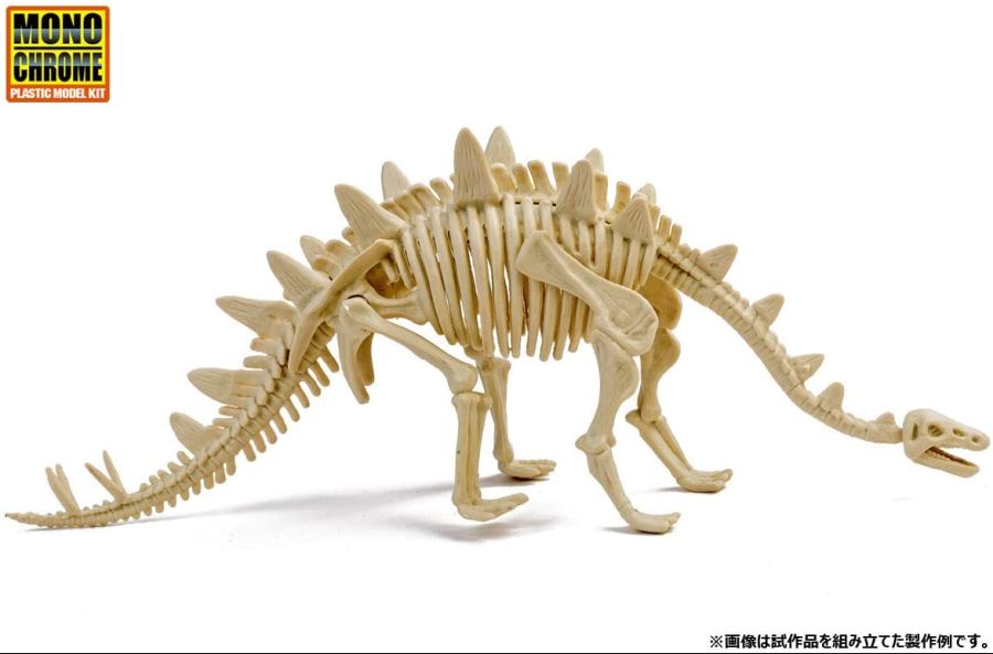 모노크롬 공룡 화석 모델 11.jpg