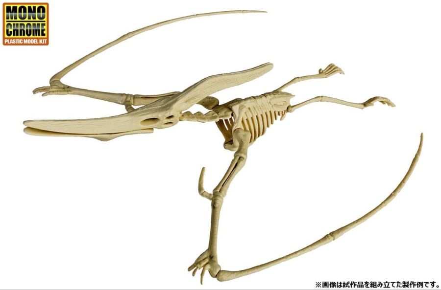 모노크롬 공룡 화석 모델 14.jpg
