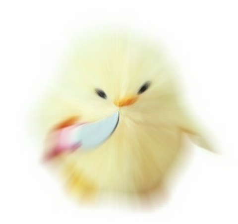 당신은 칼든 병아리의 위협을 받았습니다_2.jpg