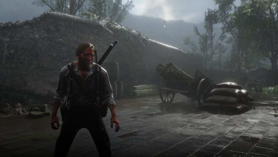 Red Dead Redemption 2 Screenshot 2021.01.25 - 00.56.51.61.png