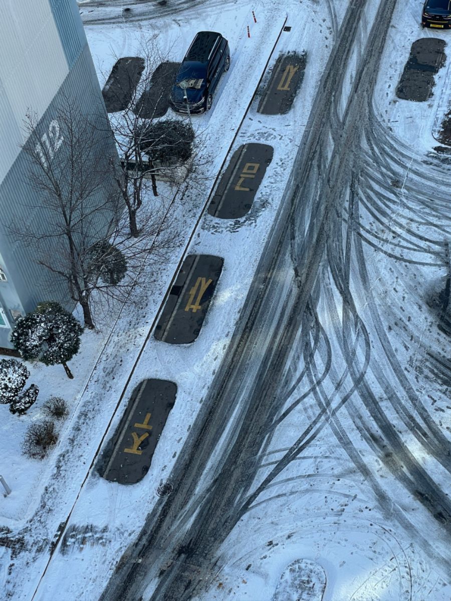 냉혹한 주차금지의 세계_1.jpg