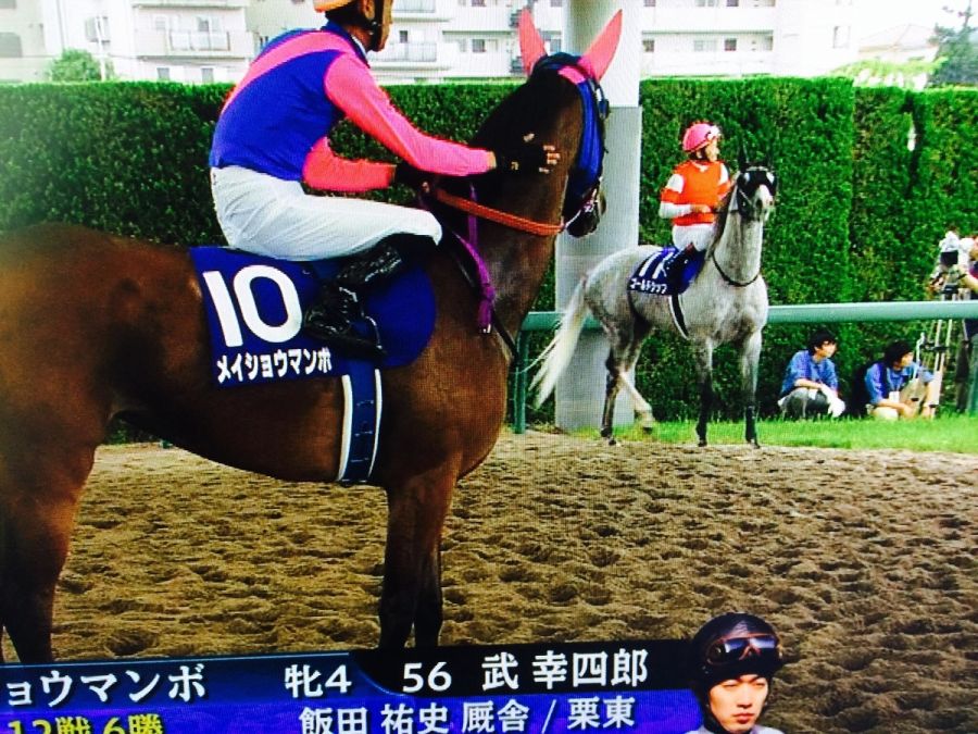 말딸) 골드쉽콘 원본짤 모음.jpg_4.jpg