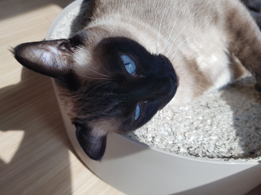 대충 무슨무슨법 준수한다는 제목_8.jpg