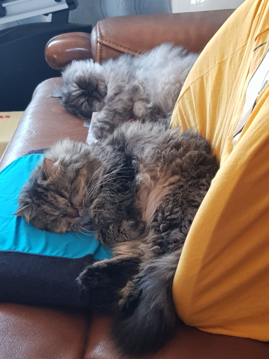 대충 무슨무슨법 준수한다는 제목_14.jpg