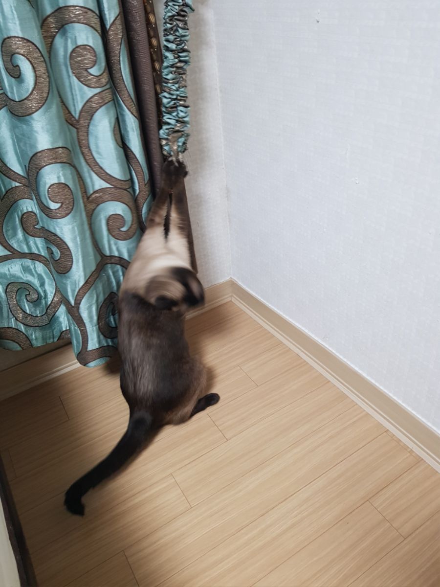 대충 무슨무슨법 준수한다는 제목_17.jpg