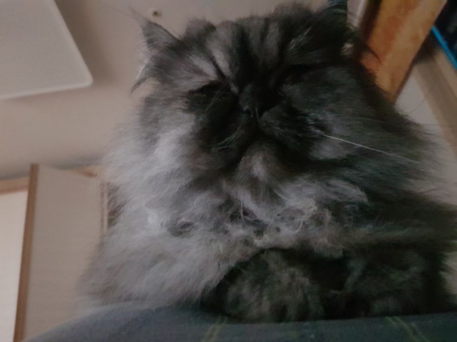 대충 무슨무슨법 준수한다는 제목_21.jpg