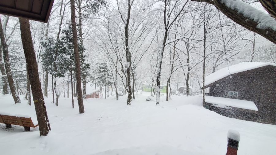 코로나 시대의 한-일간 이동기 (2021년 2월)_19.jpg