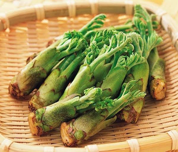 봄에만 먹을 수 있는 음식.jpg_2.jpeg