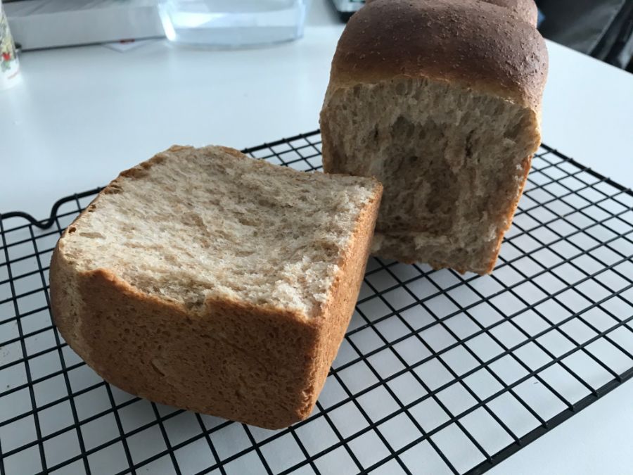 독일에서 통밀 식빵 만들기_3.jpg