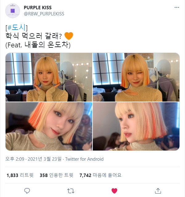 210323.도시.트위터 +.jpg