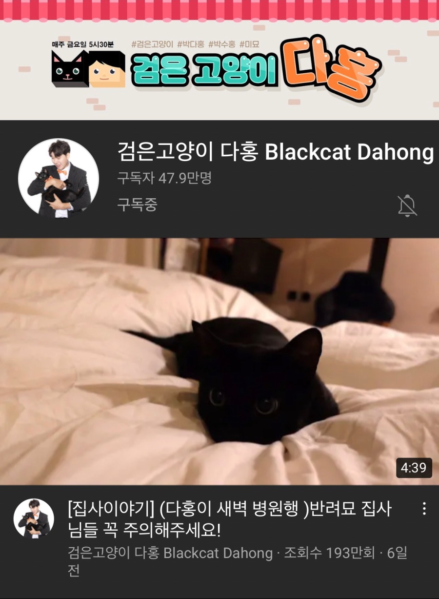 박수홍) 다홍이 유툽 | 유머 게시판 | 루리웹 l RULIWEB 박수홍) 다홍이 유툽 | 유머 게시판 | 루리웹