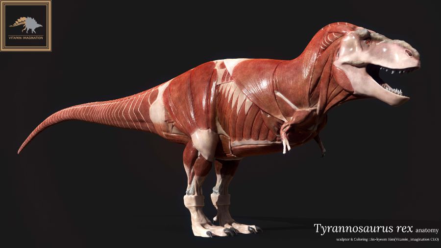 티라노사우루스 렉스 해부도 모형 완성 !_2.jpg